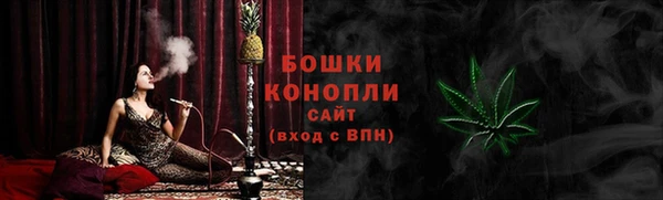 PSILOCYBIN Алексеевка
